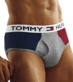 Tommy Hilfiger Colorblock Action Brief